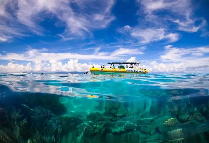 Retkeilymaja Safari Lodge