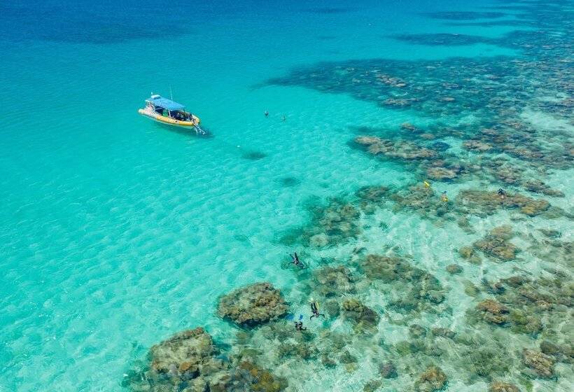 Общежитие Safari Lodge