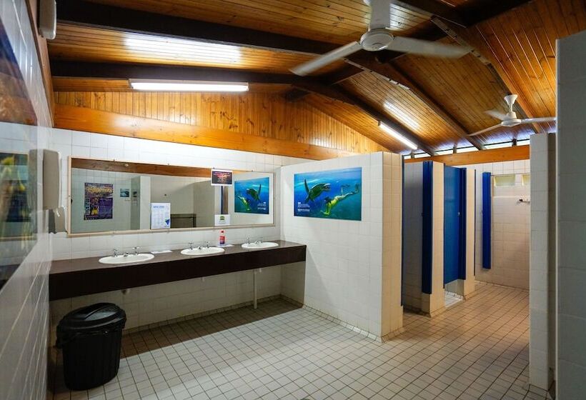 Общежитие Safari Lodge