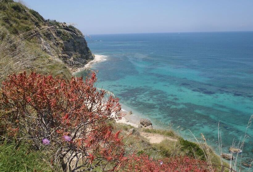 住宿加早餐  Luxury Accommodation