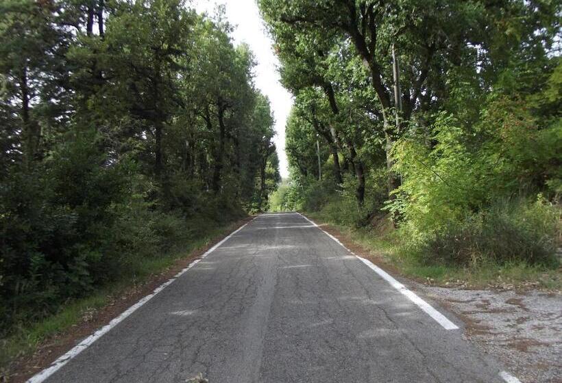 تختخواب و صبحانه R&b Del Monte