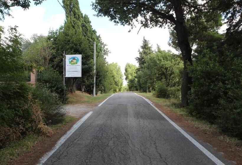 تختخواب و صبحانه R&b Del Monte