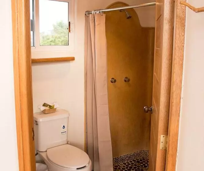 Canto Del Mar Hotel   Zihuatanejo   Suites Con Cocina