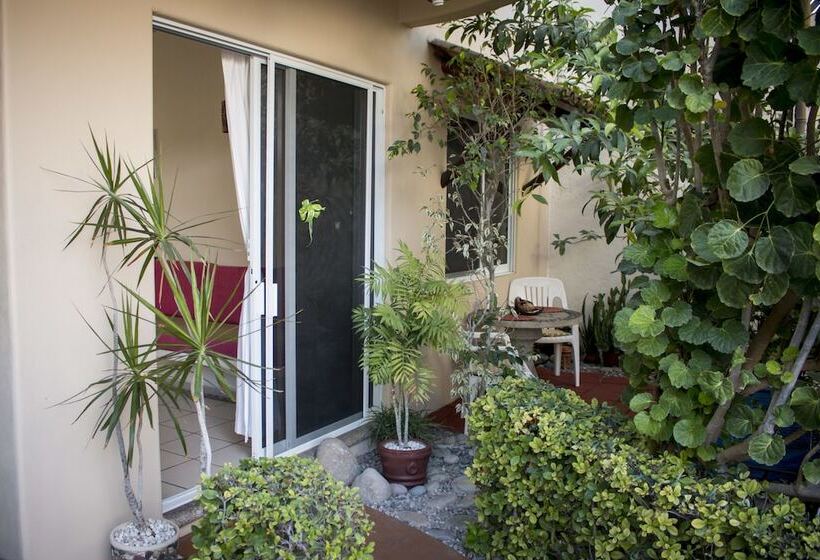 Canto Del Mar Hotel Zihuatanejo Suites Con Cocina