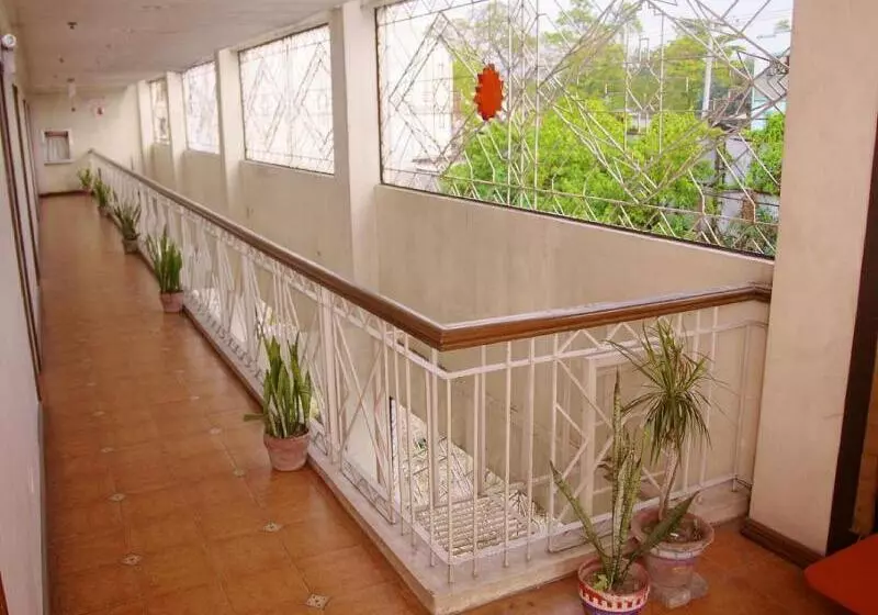Ddd Habitat Pension House