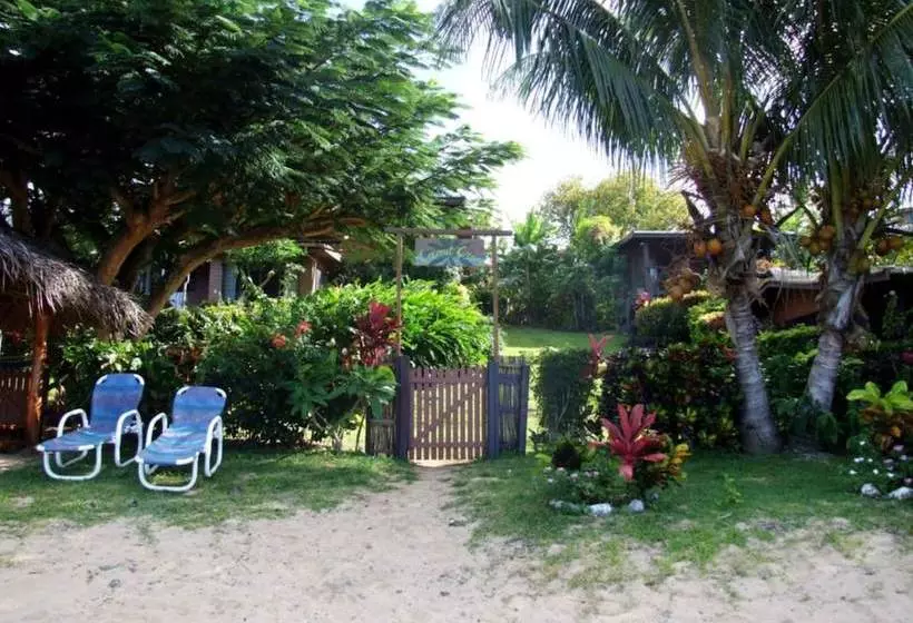 ホテル Coconut Grove Beachfront Cottages