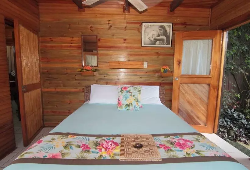 ホテル Coconut Grove Beachfront Cottages