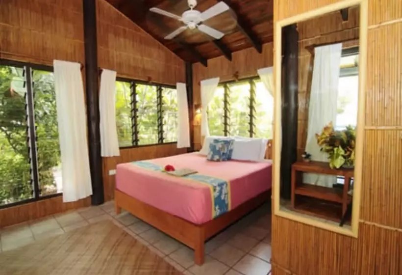 ホテル Coconut Grove Beachfront Cottages