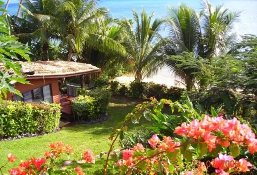 ホテル Coconut Grove Beachfront Cottages