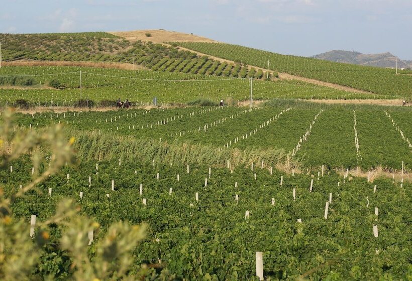 בית מלון כפרי Agriturismo Baglio Pocoroba