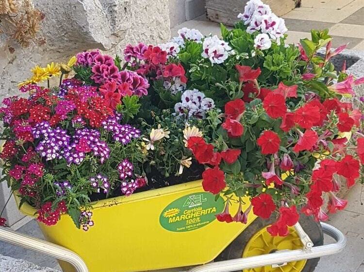 בית מלון כפרי Agriturismo Baglio Pocoroba