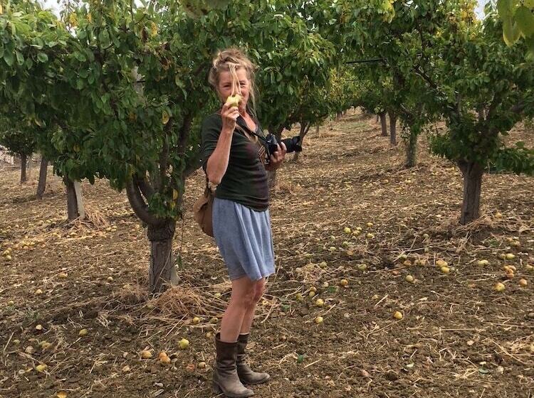 בית מלון כפרי Agriturismo Baglio Pocoroba