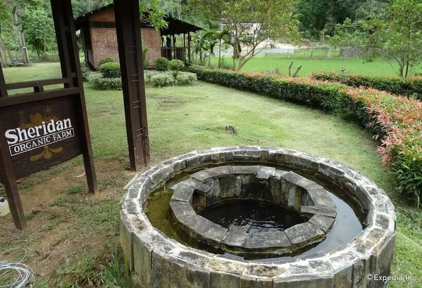 Maaseutuhotelli Sheridan Organic Farm And Resort