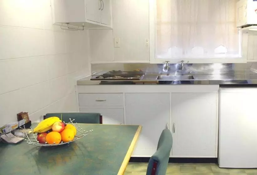 汽车旅馆  Tudor Motor Lodge