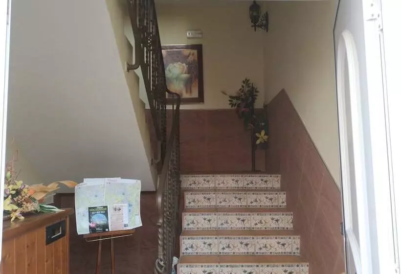 Retkeilymaja The Matador