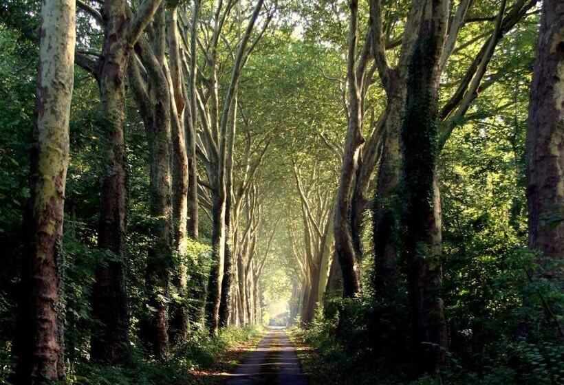 צימר Chateau Le Quesnoy