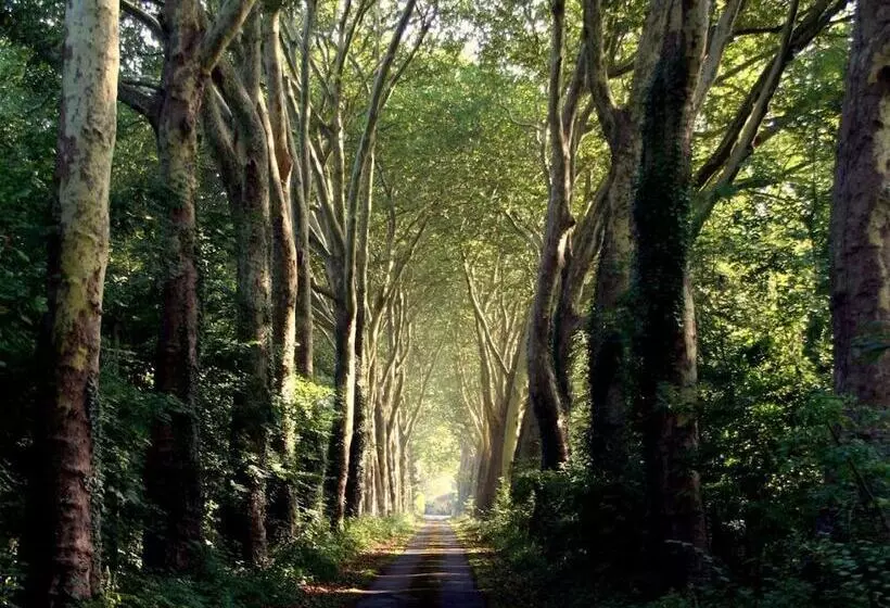 Aamiaismajoitus (B&B) Chateau Le Quesnoy