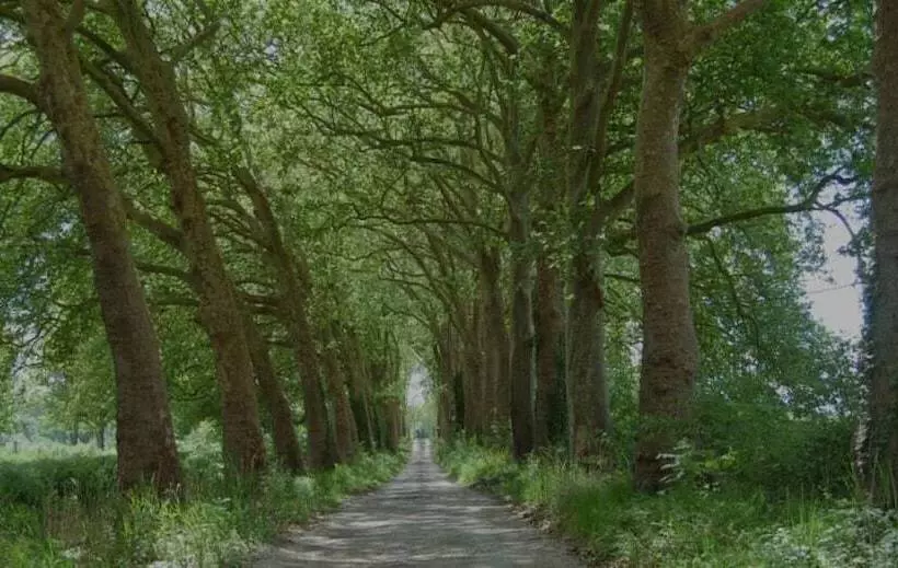 Aamiaismajoitus (B&B) Chateau Le Quesnoy