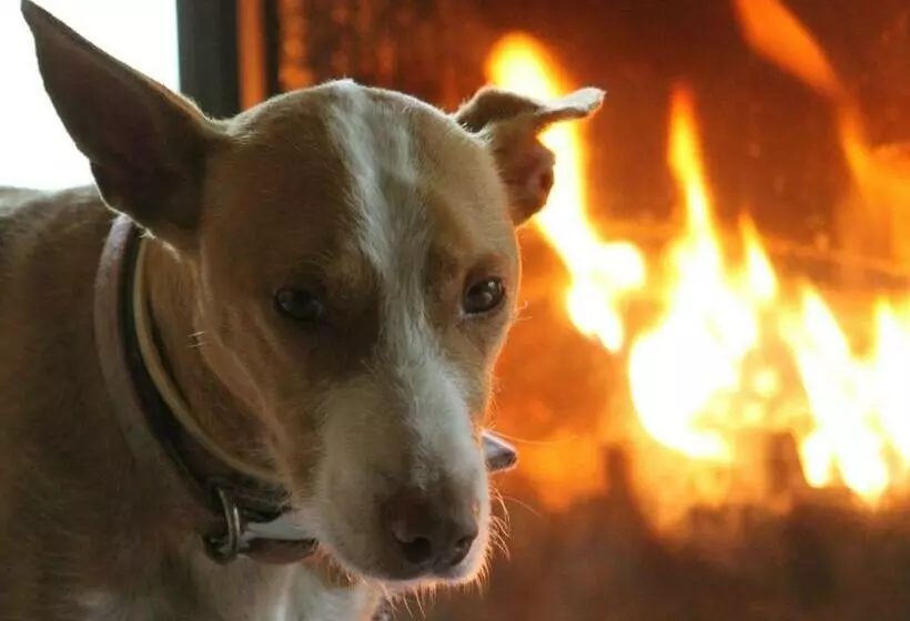 Aamiaismajoitus (B&B) Casa Rural Ecológica Kaaño Etxea