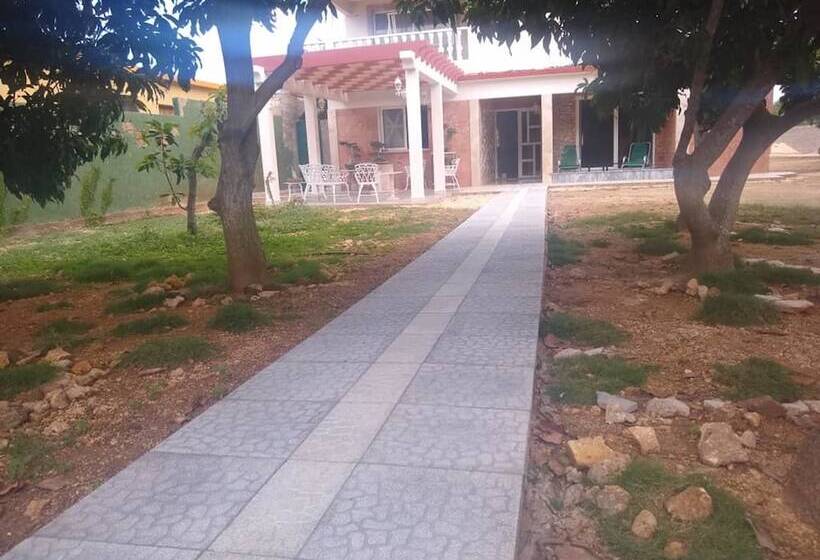 민박 Hostal Los Mangos