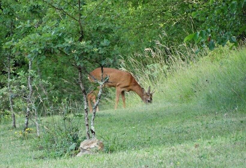 בית מלון כפרי Le Domaine De Pecany