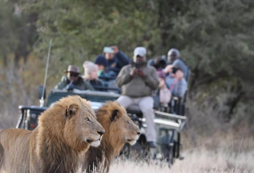 בית מלון כפרי Simbavati Hilltop Lodge