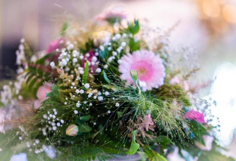 Bed and Breakfast Kethla House