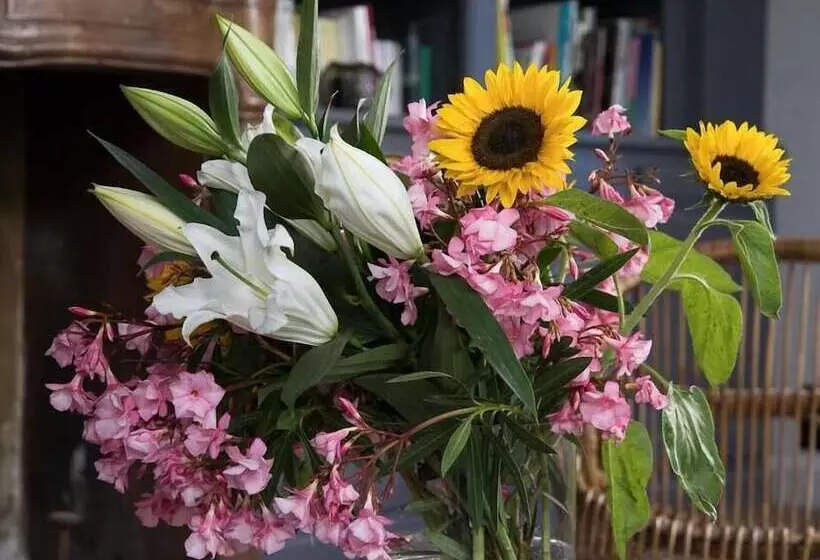 Aamiaismajoitus (B&B) Les Terrasses