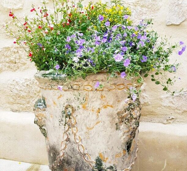 مبيت وإفطار Les Terrasses