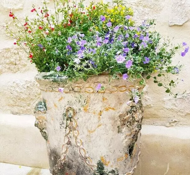 Aamiaismajoitus (B&B) Les Terrasses