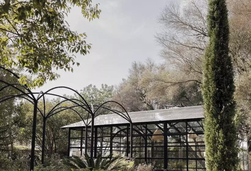 Finca Serena Mallorca, Small Luxury Hotels