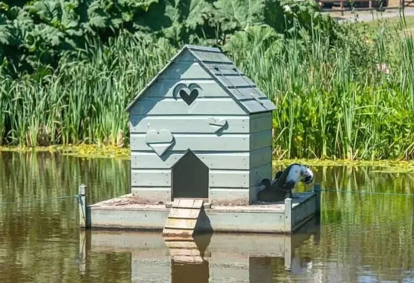 Frankaborough Farm Holiday Cottages