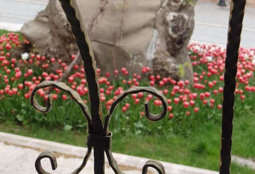 هتل Arakonak Termal