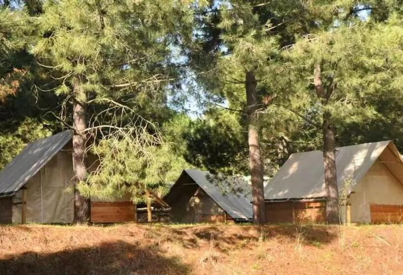 هتل Camping Olva