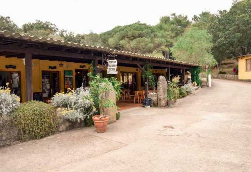 فندق Camping Olva