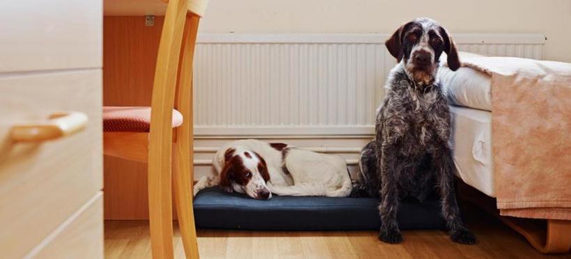 هتل L Sport & Rest