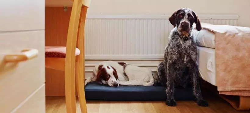 Hotelli L Sport & Rest