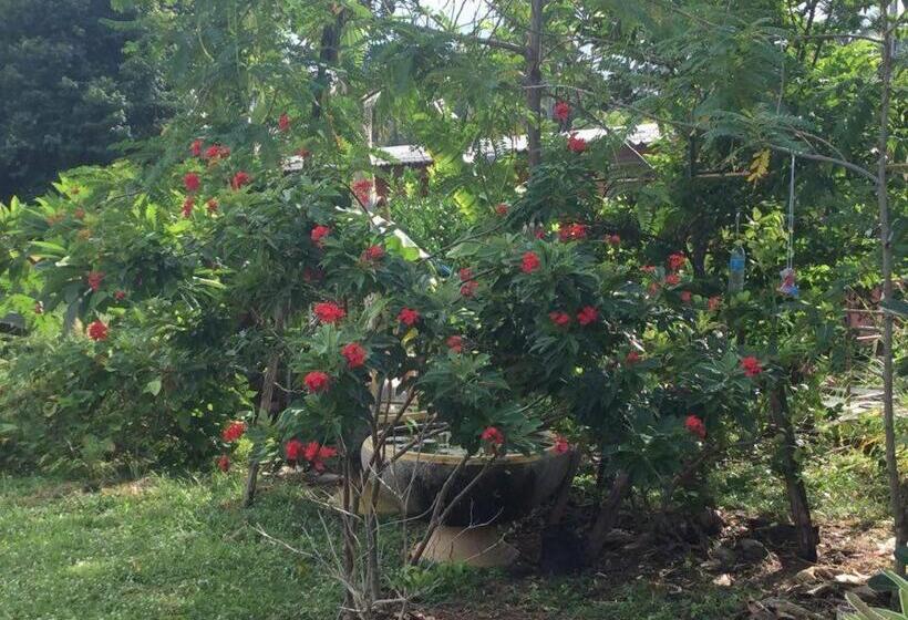 Hotelli Subsavet Village