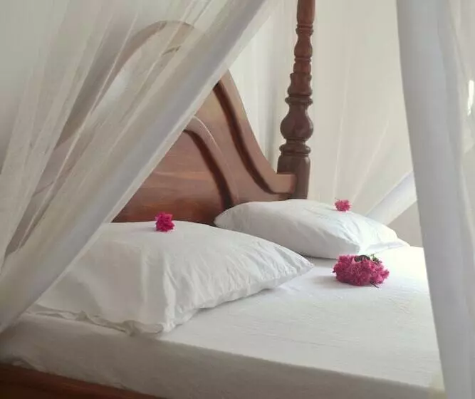 ペンション Kiteactive Guesthouse