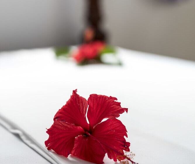 펜션 Kiteactive Guesthouse