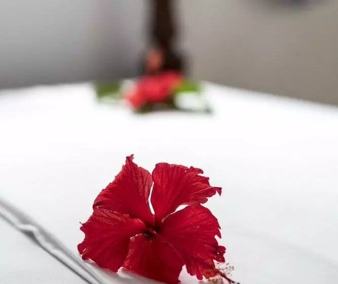 ペンション Kiteactive Guesthouse