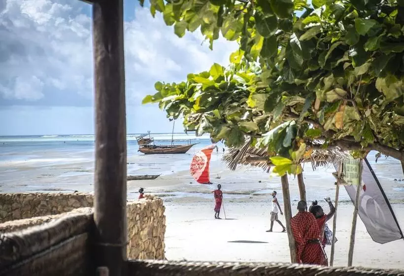 ペンション Kiteactive Guesthouse