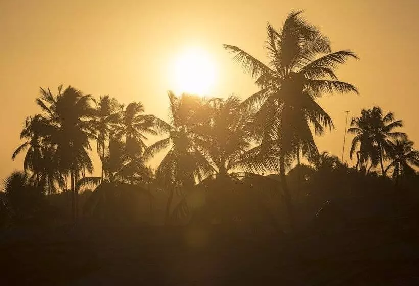 ペンション Kiteactive Guesthouse