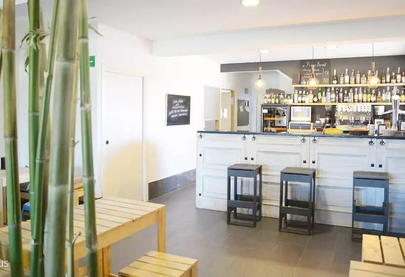 Abaraxka Hostel Disfruta La Vía Verde Del Urola Hasta La Playa   Naturaleza Montañas Y Riqueza Cultu