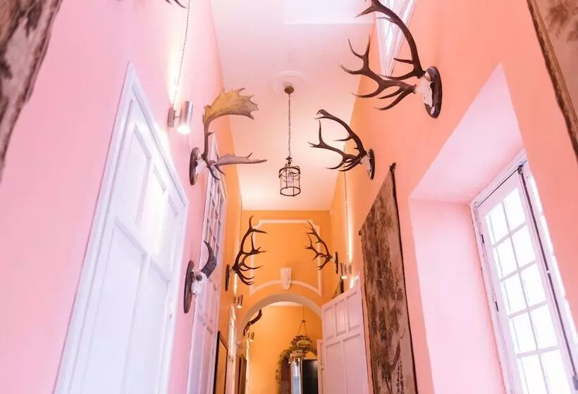 ベッドアンドブレックファースト Palacio Del Virrey Laserna