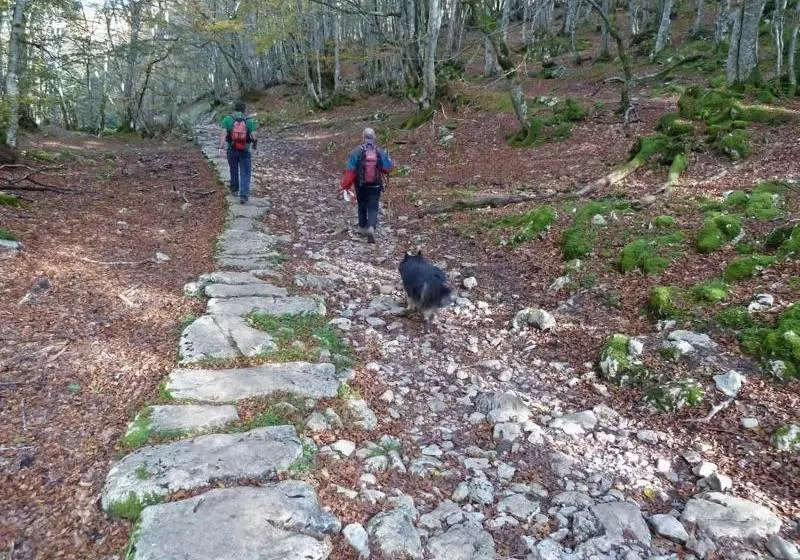 Casa Rural Eikolara Landetxea
