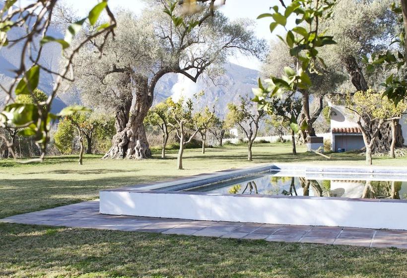 Cortijo Puerta Lavanda