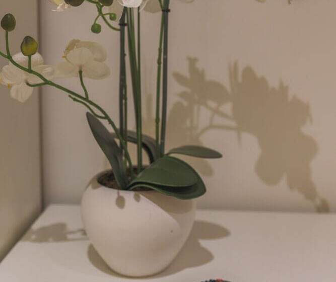 مسافرخانه Habitaciones Amelia