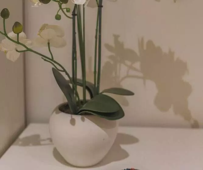 مسافرخانه Habitaciones Amelia