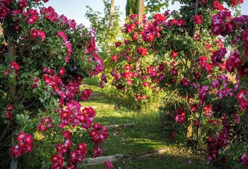 Hotelli Aal Cachucho